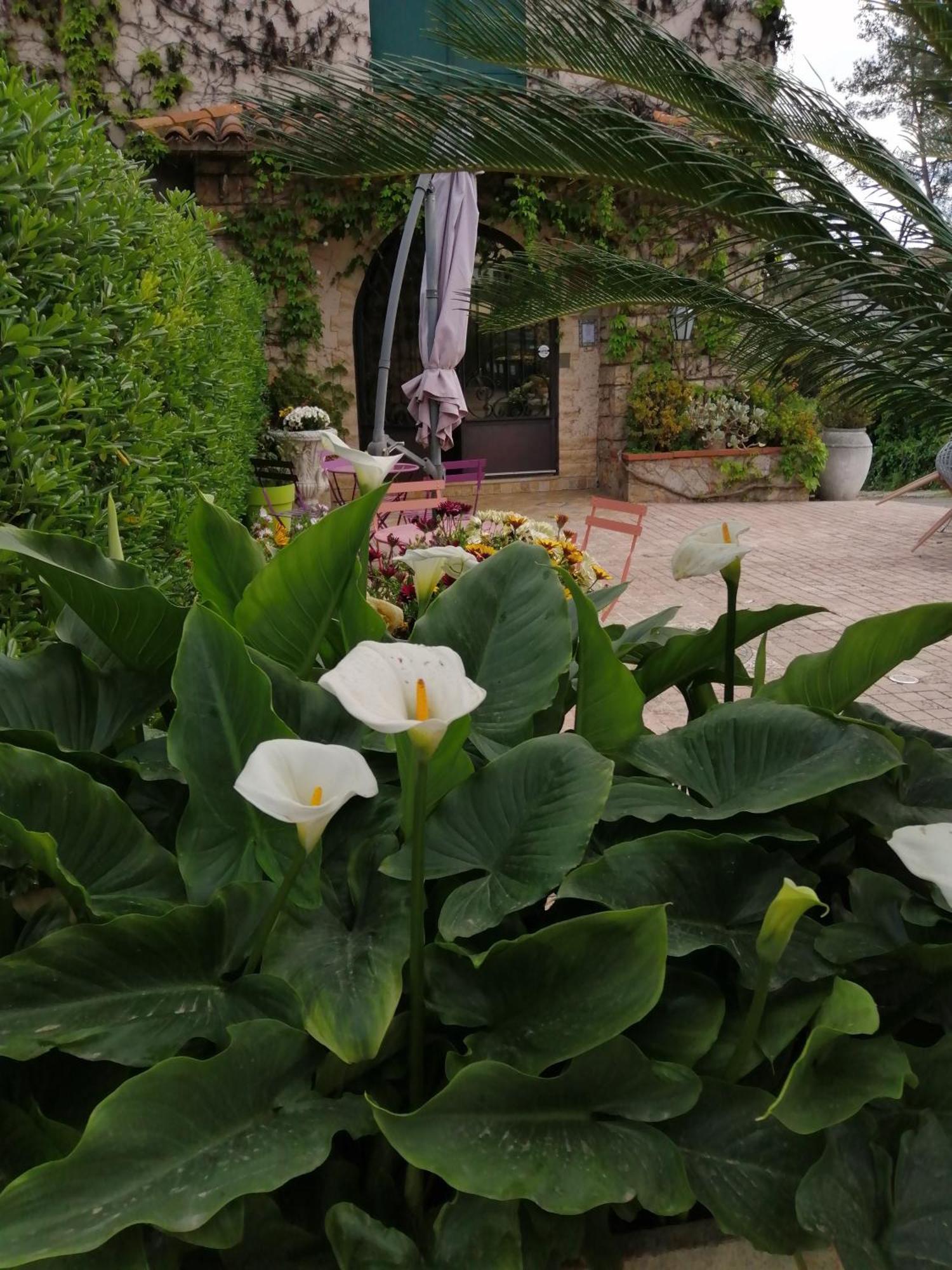 Auberge Les Aromes Grasse Eksteriør billede